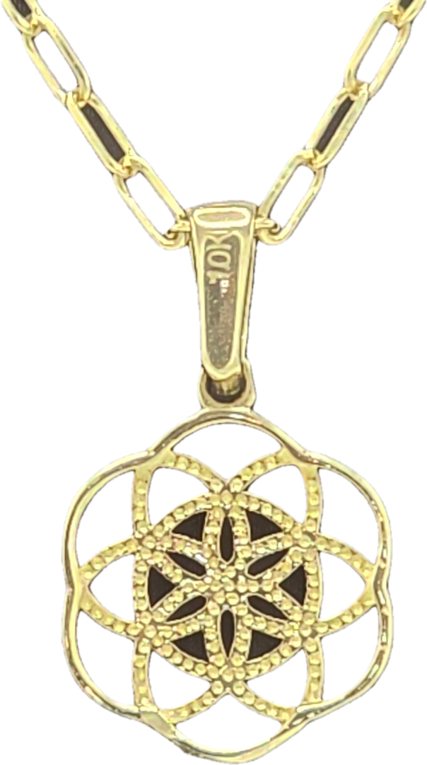 Dije Semilla de Vida & Cadena Clip Oro 10k 50 cm Joyería Gold Digger Panamá