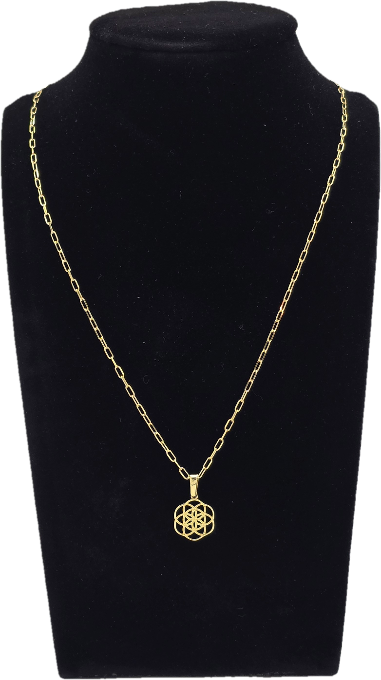 Dije Semilla de Vida & Cadena Clip Oro 10k 50 cm Joyería Gold Digger Panamá